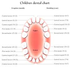 15 Bright Pediatric Tooth Chart Letters