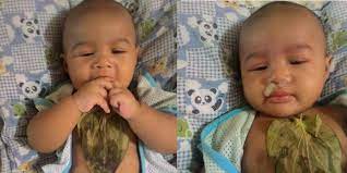 Petua hilangkan batuk dan gatal tekak. Petua Guna Daun Sireh Untuk Hilangkan Batuk Dan Kahak Bayi Dicuba Ibu Ini Berkesan Pa Ma