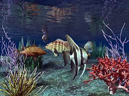 3d Live Images Hd 1080p 11869 Wallpaper Wallawy Com Aquarium Live Wallpaper Animated Wallpaper For Pc Wallpaper Pc