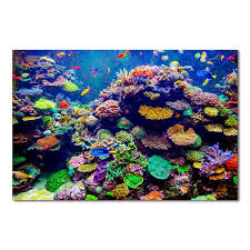 900x900 realistic paintings of coral reef coral reef painting. Coral Reef Painting At Paintingvalley Com Explore Collection Of Coral Reef Painting