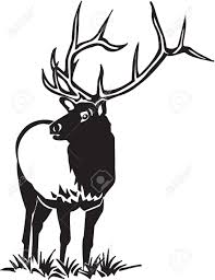 Black And White Bull Image Result For Black And White Bull Elk Clip Art Bull Elk Moose Art Art
