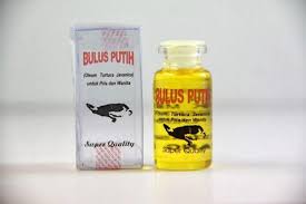 Check spelling or type a new query. Pernah Dengar Minyak Bulus Ternyata Begini Cara Pakainya Untuk Memperbesar Payudara