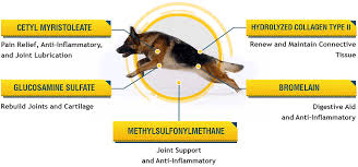 Depending on the size of your dog, you may choose to use aspirin specially. Aspirin For Dogs Important Dosage And Safety Information