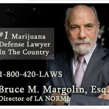 THE LAW OFFICES OF BRUCE M MARGOLIN