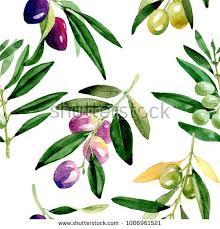 Stock Photo Olive Tree Pattern In A Watercolor Style Full Name Of The Plant Branches Of An Olive Tree Tree Illustration Olive Tree Tattoos Tree Roots Tattoo