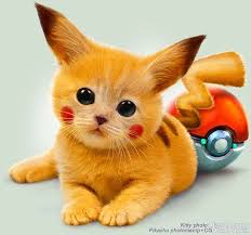 However, that is not the obly reason. Pikachu Cute Pokemon Amino