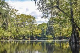 For locals and visitors alike, here are 18 reasons why … Welcome To Florida Paddle Notes Upper Santa River And Olustee Creek Florida Paddle Notes