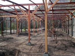 Ideal for most locations and tall enough to stand up in (2m in height), the lightweight aluminium finish and strength makes it the strongest fruit cage in it's class. Buen Viaje Fruit Tree Garden Fruit Trees Fruit Cage