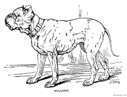 This dog coloring pages are fun way to teach your kids about dog. Bulldog For Kids Coloring Pages For Kids And For Adults Coloring Home