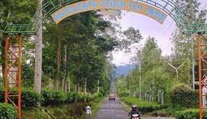 Maybe you would like to learn more about one of these? Agrowisata Kebun Teh Tambi Wonosobo
