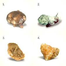 On A Diet A High Protein One May Increase Your Risk Of Kidney Stones