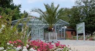In kurzer zeit reisen sie zwischen den kontinenten und lassen sich nicht nur von der pflanzenvielfalt der flora amerikas oder asiens beeindrucken, sondern erkunden neben den biotopen der heimat wie wald, heide, düne und. Botanischer Garten Kiel