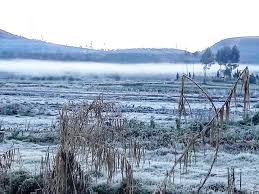 We did not find results for: 10 Potret Unik Dieng Saat Bersalju Serasa Musim Dingin Di Eropa