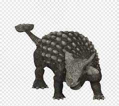 Use a pencil to draw a series of circles or ovals for each part of the dinosaur's body. Ankylosaurus Late Cretaceous Gastonia Dinosaur Pachycephalosaurus Dinosaur Tyrannosaurus Fauna Png Pngegg