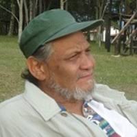 PDF) El apoyo cubano a la lucha armada en Venezuela (2007)