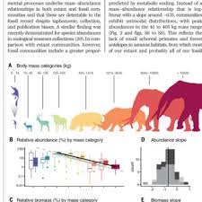 Image result for Pavetta pierlotii