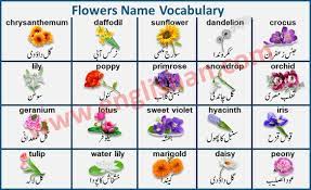 We did not find results for: Flowers Name With Images In Urdu To English Pdf Flower Names Vocabulary Flash Cards Name Of Vegetables