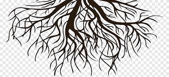 Zeichnen Wurzel Grafik Baum Schwarz Weiss Wurzeln Kunst Kunstwerk Png Pngegg