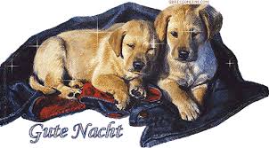 Herunterladen guten abend bilder kostenlos Gute Nacht Gb Pics Gb Bilder Gastebuchbilder Facebook Bilder Jappy Bilder