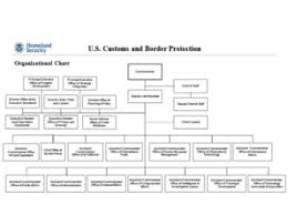 Fillable Online Cbp Cbp Organization Chart Cbp Fax Email