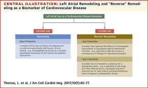 Left Atrial Reverse Remodeling Mechanisms Evaluation And Clinical Significance Jacc Cardiovascular Imaging