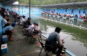 Ekami Fishing Pendatang Baru Yang Makin Dikenal Penggila Galatama Lele Kabar Mancing