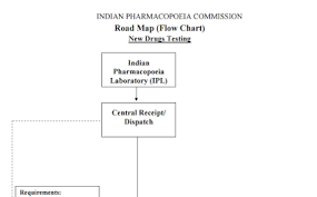 Pharmacompanion Road Map Flow Chart For New Drug Testing
