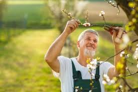 50 tacoma dr, halifax ns phone number: Best Life Insurance Quotes In Canada Lsm Insurance