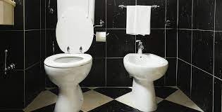 Czech toilets