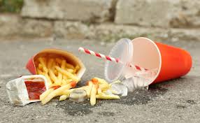 نتیجه جستجوی لغت [litter] در گوگل