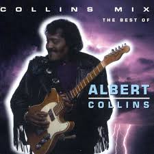 Image result for Albert Collins