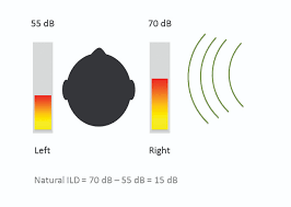 Localization 101 Hearing Aid Factors In Localization Hearing Review