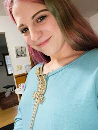 Beardie enclosure inspiration and ideas