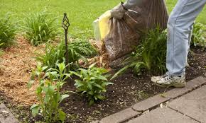 9 Paillis Pour Votre Jardin Et Votre Potager Trucs Pratiques