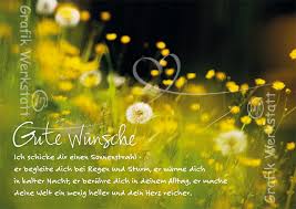 Art Nr 6321 Postkarte Gute Wunsche Gute Wunsche Geburtstag Wunsche Grafikwerkstatt