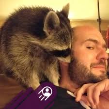 Does your rocket hold points like this?