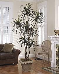 7 Dracaena Silk Tree Tree House Decor Natural Home Decor Artificial Trees Decor