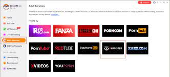 Xhamster to Mp4 Converters: How to Convert Xhamster to Mp4 for Offline Watch