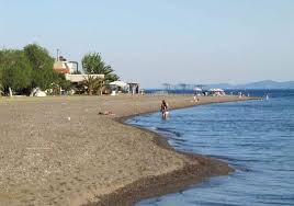 Επαναλαμβανόμενο λυπηρό περιστατικό στο λιμάνι boat & fishing. Paralia Amaryn8oy Eviagreece