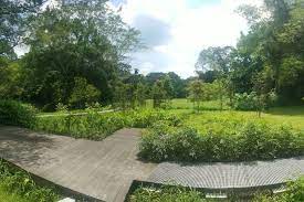 Windsor park estate is a landed estate development. Windsor Nature Park Parks Nature Reserves Gardens Parks Nature National Parks Board Nparks