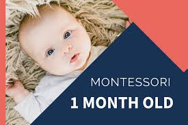 Maybe you would like to learn more about one of these? Montessori With 1 Month Old Newborn Thrive In Family Life