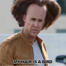 Amazon com national treasure nic cage nicholas cage funny. These Nicolas Cage Memes Win The Internet