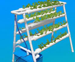 Diy Hydroponics System Nft With 72pcs Of Net Cup Nutrient Film Technique Nft Hydroponicgrowingsystems Hydroponicsdiy Hydroponics Diy Hydroponics System