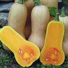 A good gardener knows that sometimes you have to do some pruning in order for the main plant to thrive. Waltham Butternut Squash Plants For Sale Free Shipping