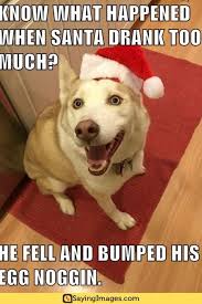 100 Funniest Merry Christmas Memes Sayingimages Com Funny Merry Christmas Memes Christmas Memes Funny Cute Animals With Funny Captions