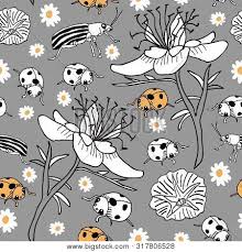 Check spelling or type a new query. Daisy Nigella Flowers Vector Photo Free Trial Bigstock