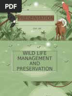 Image result for Gunillaea rhodesica