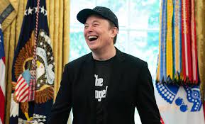 Musk lanza bomba contra Trump: “Está en los archivos de Epstein”; publica  VIDEO - ViveUSA