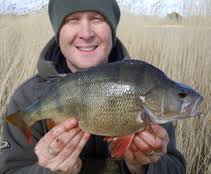 Lee Chatfield Articles