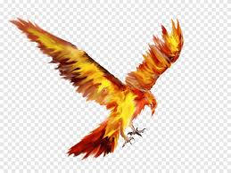 Download gambar tribal dragons circle tattoo design in 2017 real. Gambar Sketsa Tato Burung Phoenix Phoenix Fotografi Logo Png Pngegg